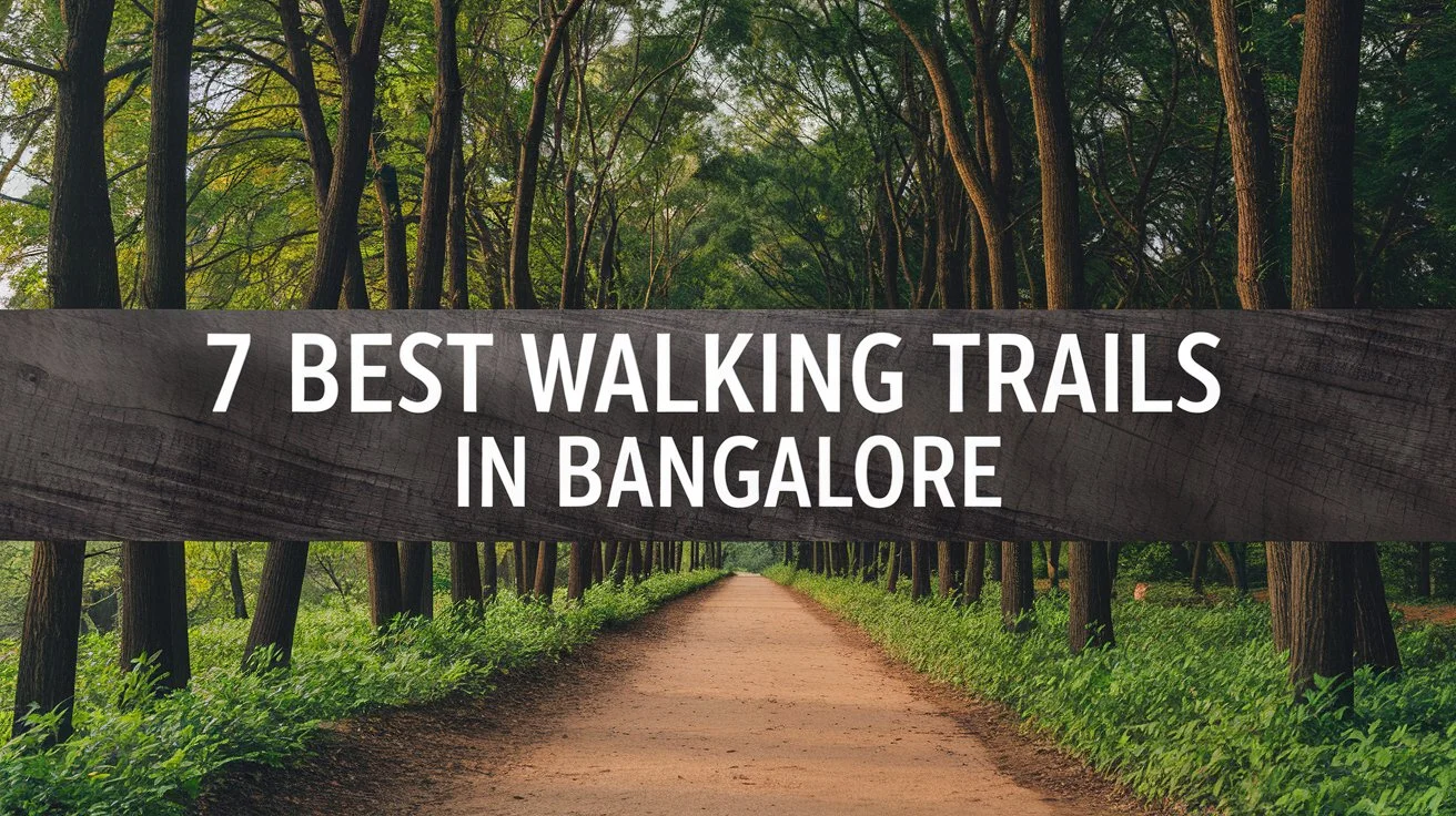 7 Top Walking Trails in Bangalore for a Refreshing Morning Stroll