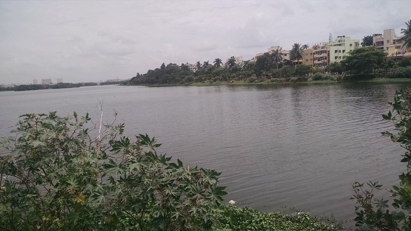 madiwala lake